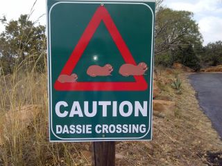 Dassie crossing at Utopia Private Nature Estate